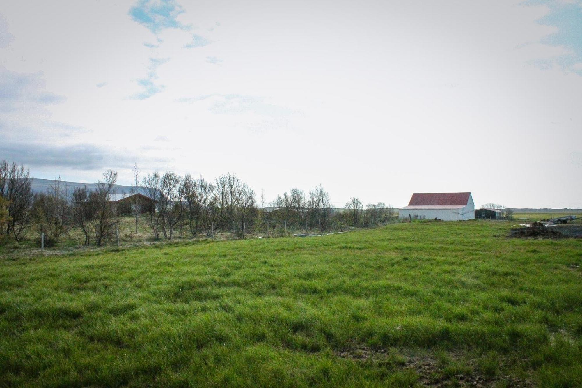 Sun-Cottage South Iceland Olfus Екстер'єр фото